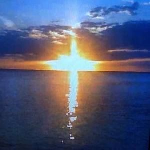 Meet your Posher, Dee